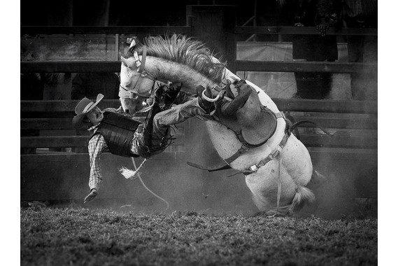 <p>2nd - A Grade: Set Print - Berwick Rodeo <small>© Neil Anderson</small></p>
