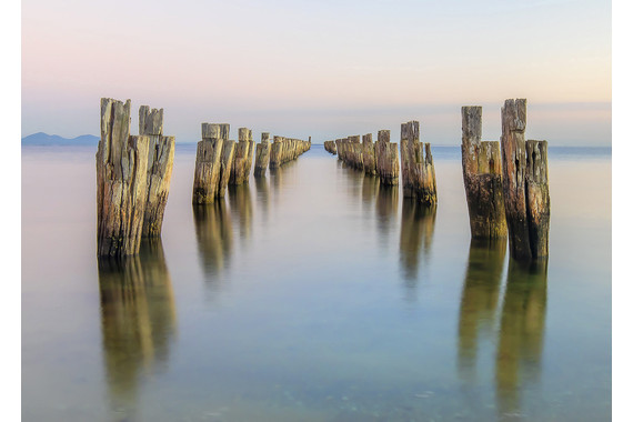 <p>HC - A Grade: Open Print - Clifton Springs <small>© Tracey Noonan</small></p>

