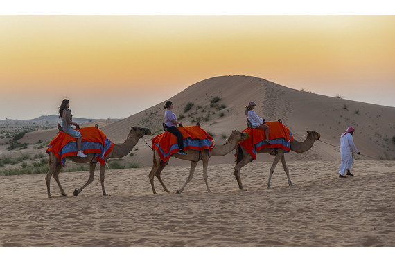 <p>3rd - B Grade: Open Digital - Camel Ride at Sunset <small>© Crace Sobania</small></p>
