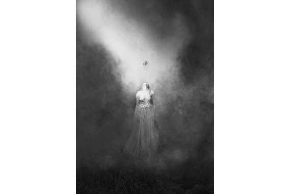 <p>1st - A Grade: Set Digital - Connection <small>© Brett Ferguson</small></p>
