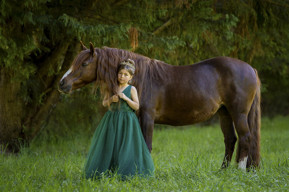 <p>2nd - A Grade: Open Print - The Brumby Princess <small>© Robyn Singleton</small></p>
