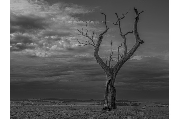<p>HC - A Grade: Set Digital - Lone Tree <small>© Cas Bukor</small></p>
