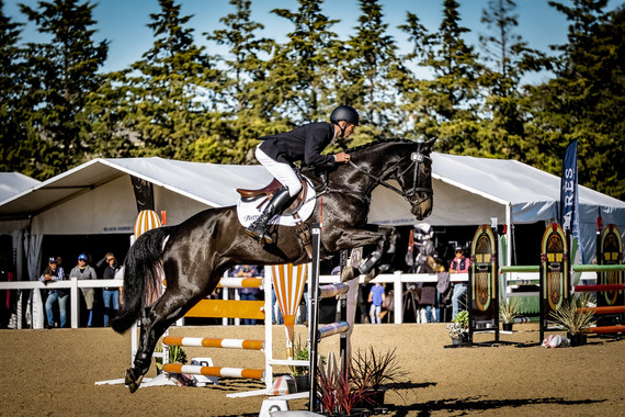 <p>2nd - A Grade: Set Digital - Equestrian_Jumping <small>© Leo Loque</small></p>
